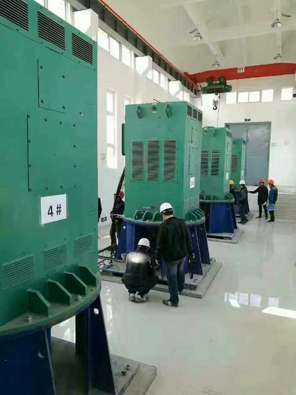 依安某污水处理厂使用我厂的立式高压电机安装现场